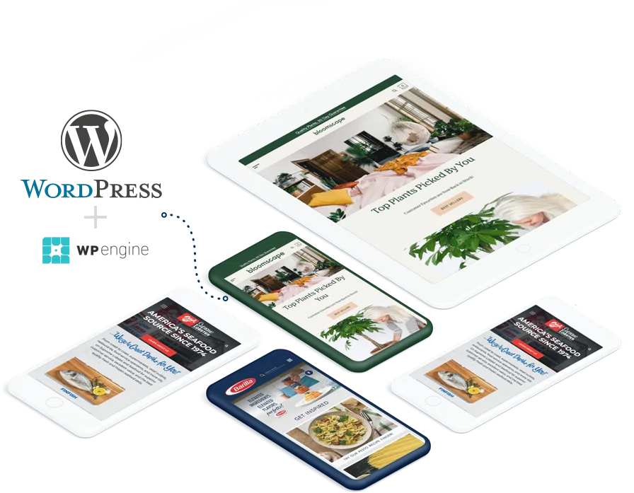 WordPress   开发 - 一号娱乐